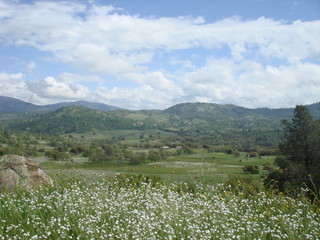 Main Photo